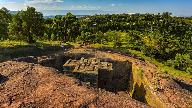 Highland Chronicles: Ethiopia's Enigmatic Wildlife.